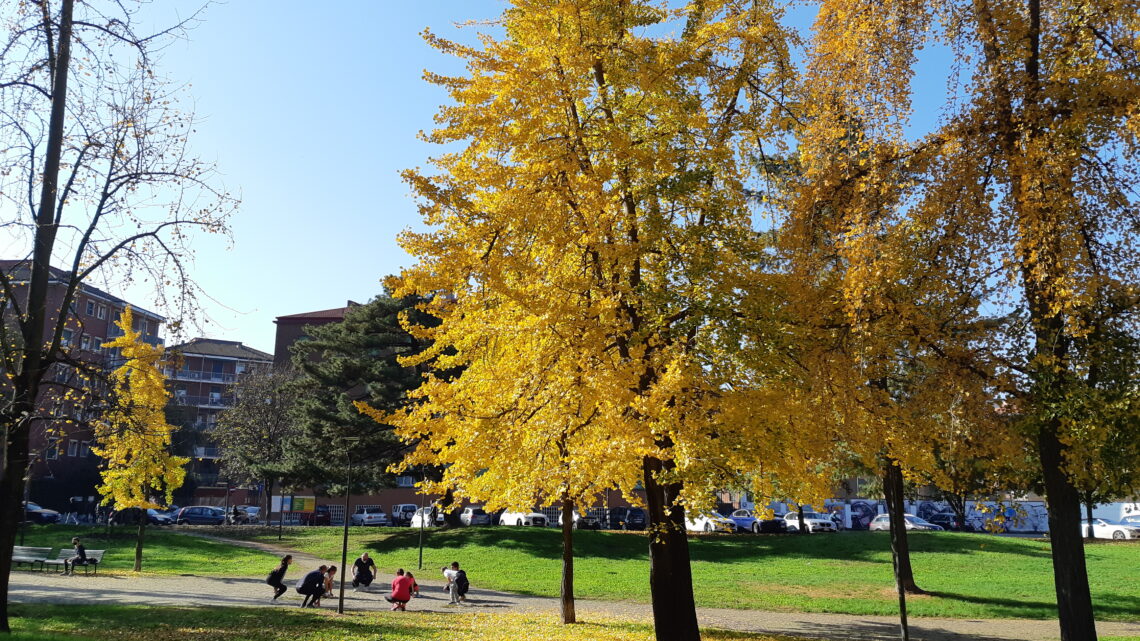 Foliage, ecco dove assistere a questo spettacolo della natura stando a Milano e in lockdown